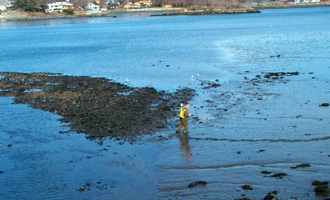 Sampling and Mapping of Former Lead Mill