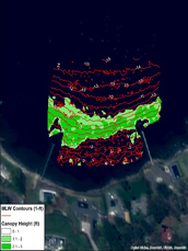 Map of eelgrass and bathymetry simultaneously produced from acoustic data