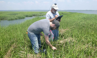 GPS salt marsh plotting