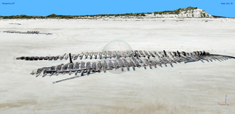 Photogrammetric Model of the Ada K Damon Wreckage