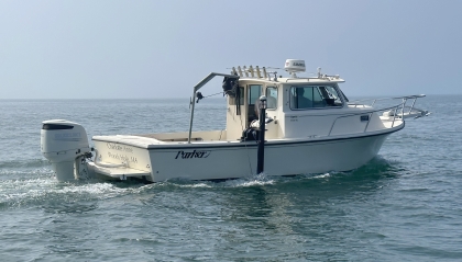 25-foot Parker fiberglass workboat designed for inshore survey operations